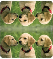 Golden Retriever Leather Cover | CDP-DOG39