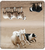 Border Collie at Work Leather Cover | CDP-DOG46