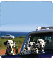 Dalmatians Leather Cover | CDP-DOG74