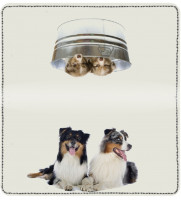 Australian Shepherd Leather Cover | CDP-DOG92