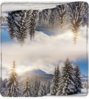 Snowy Woodland Leather Cover | CDP-NAT86