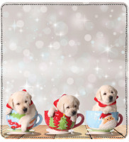 Howling Holidays Leather Cover | CDP-XMS63