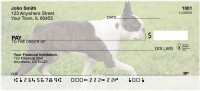 Boston Terrier Personal Checks | DOG-47