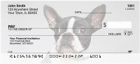 Boston Terrier Personal Checks | DOG-47