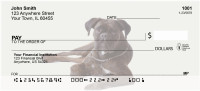 Boxer Personal Checks | DOG-95