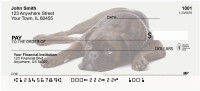Boxer Personal Checks | DOG-95