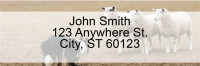 Border Collie at Work Rectangle Address Labels | LRDOG-46