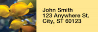 Tropical Fish Rectangle Address Labels | LRRANI-01