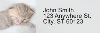 Sleepy Kittens Address Labels | LRRANI-018