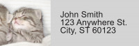 Sleepy Kittens Address Labels | LRRANI-018