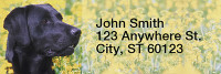 Black Labradors Rectangle Address Labels | LRRDOG-11