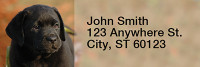 Black Labradors Rectangle Address Labels | LRRDOG-11