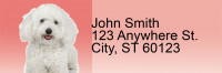 Adorable Bichons Address Labels | LRRDOG-31