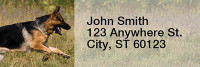 German Shepherd Rectangle Address Labels | LRRDOG-44