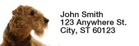 Airedale Terrier Rectangle Address Labels | LRRDOG-89
