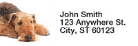 Airedale Terrier Rectangle Address Labels | LRRDOG-89