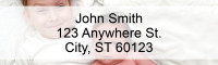 Child Abuse Prevention Address Labels | LRRIB-30