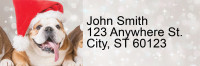 Howling Holidays Address Labels | LRRXMS-63