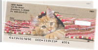 Cute Kittens Side Tear Personal Checks | STANI-06