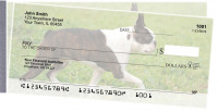Boston Terrier Side Tear Checks | STDOG-47