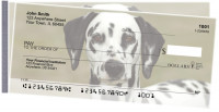 Dalmatians Side Tear Checks | STDOG-74