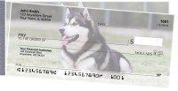 Alaskan Malamute Side Tear Checks | STDOG-91