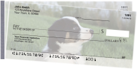 Australian Shepherd Side Tear Checks | STDOG-92