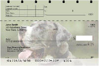 Great Danes Top Stub Checks | TSDOG-17