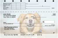 Golden Retriever Top Stub Checks | TSDOG-39
