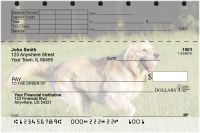 Golden Retriever Top Stub Checks | TSDOG-39