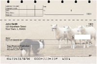 Border Collie at Work Top Stub Checks | TSDOG-46