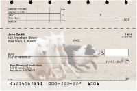 Border Collie at Work Top Stub Checks | TSDOG-46
