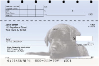 Black Lab Puppies Top Stub Checks | TSDOG-53