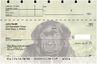 Black Lab Puppies Top Stub Checks | TSDOG-53