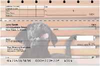 Black Lab Puppies Top Stub Checks | TSDOG-53