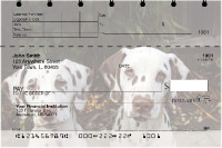 Dalmatians Top Stub Checks | TSDOG-74