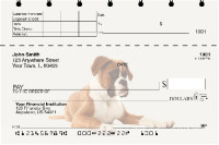 Boxer Top Stub Checks | TSDOG-95