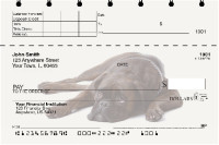 Boxer Top Stub Checks | TSDOG-95