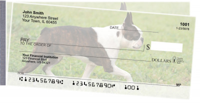 Boston Terrier Side Tear Checks | STDOG-47