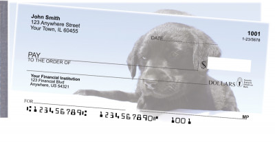 Black Lab Puppies Side Tear Checks | STDOG-53