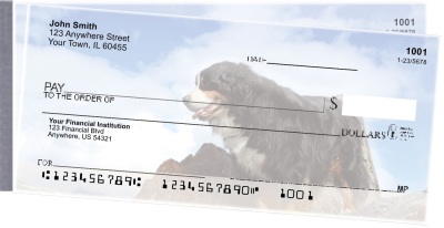 Bernese Mountain Dog Side Tear Checks | STDOG-93