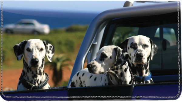Dalmatians Leather Cover | CDP-DOG74