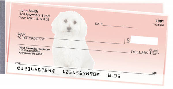 Adorable Bichons Side Tear Checks | STDOG-31