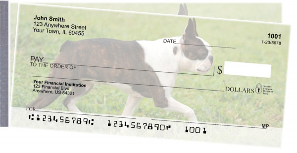 Boston Terrier Side Tear Checks | STDOG-47